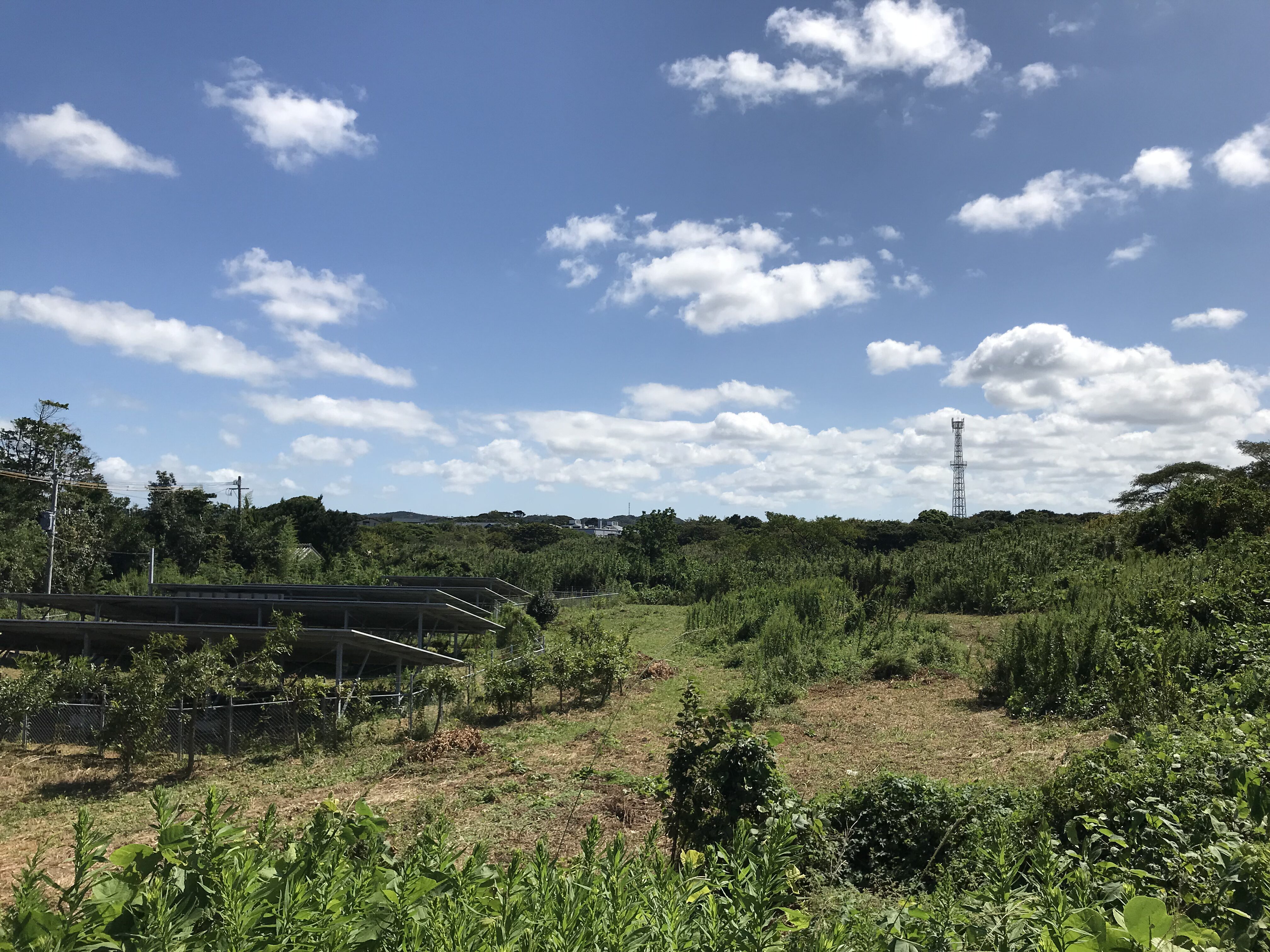 Readme.uni(初めまして！)